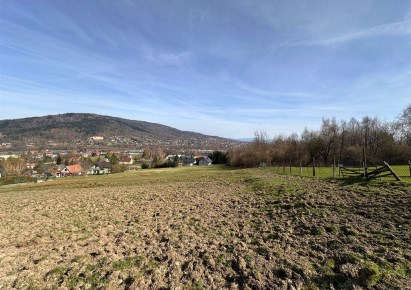 parcel for sale - Wilkowice, Bystra