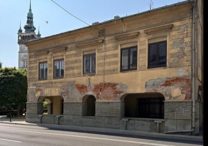 premise for sale - Bielsko-Biała, Centrum