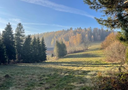 działka na sprzedaż - Milówka