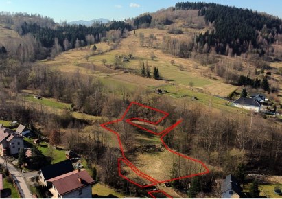 działka na sprzedaż - Świnna, Pewel Ślemieńska