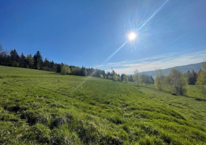 działka na sprzedaż - Jeleśnia, Pewel Wielka