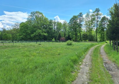 działka na sprzedaż - Lipowa, Leśna, Wawrzynka