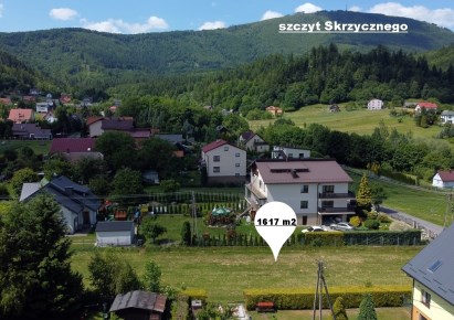 parcel for sale - Lipowa