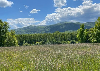 parcel for sale - Bielsko-Biała, Kamienica