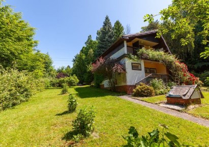house for sale - Wilkowice