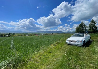 parcel for sale - Łodygowice, Pietrzykowice