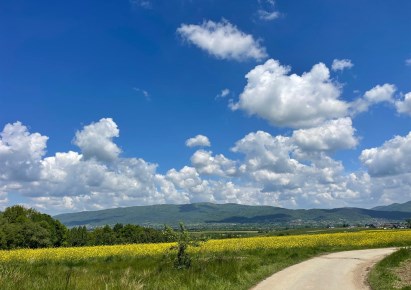 parcel for sale - Łodygowice, Pietrzykowice