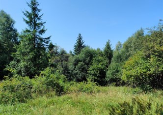 działka na sprzedaż - Jeleśnia, Pewel Wielka
