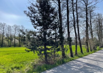 działka na sprzedaż - Chybie, Mnich