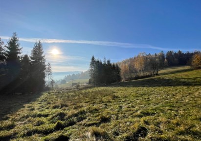 parcel for sale - Milówka