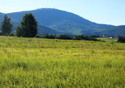 parcel for sale - Lipowa, Promienna