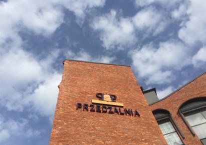 premise for rent - Bielsko-Biała, Centrum