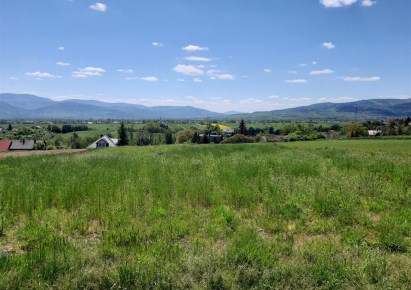 działka na sprzedaż - Łodygowice, Pietrzykowice