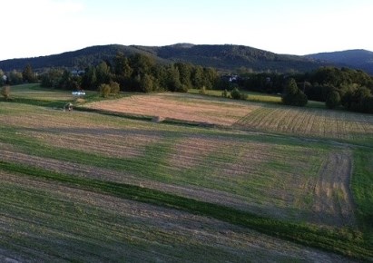 działka na sprzedaż - Bielsko-Biała, Kamienica