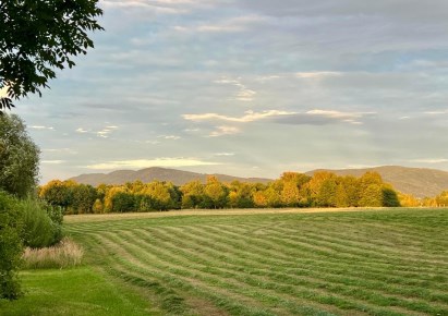 działka na sprzedaż - Bielsko-Biała, Kamienica