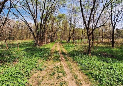 parcel for sale - Świnna, Pewel Mała