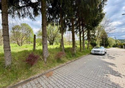 parcel for sale - Bielsko-Biała, Lipnik