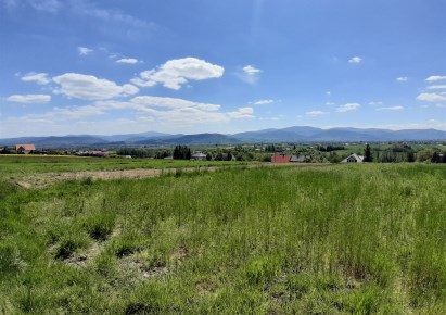 działka na sprzedaż - Łodygowice, Pietrzykowice