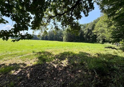 działka na sprzedaż - Jasienica, Mazańcowice