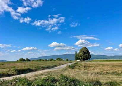 parcel for sale - Łodygowice, Pietrzykowice