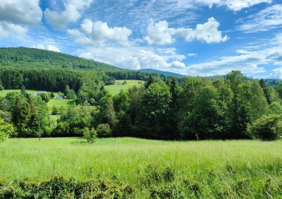 parcel for sale - Stryszawa, Lachowice