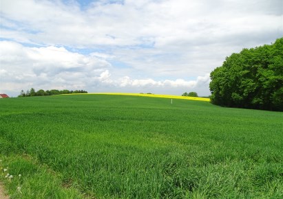 działka na sprzedaż - Bestwina